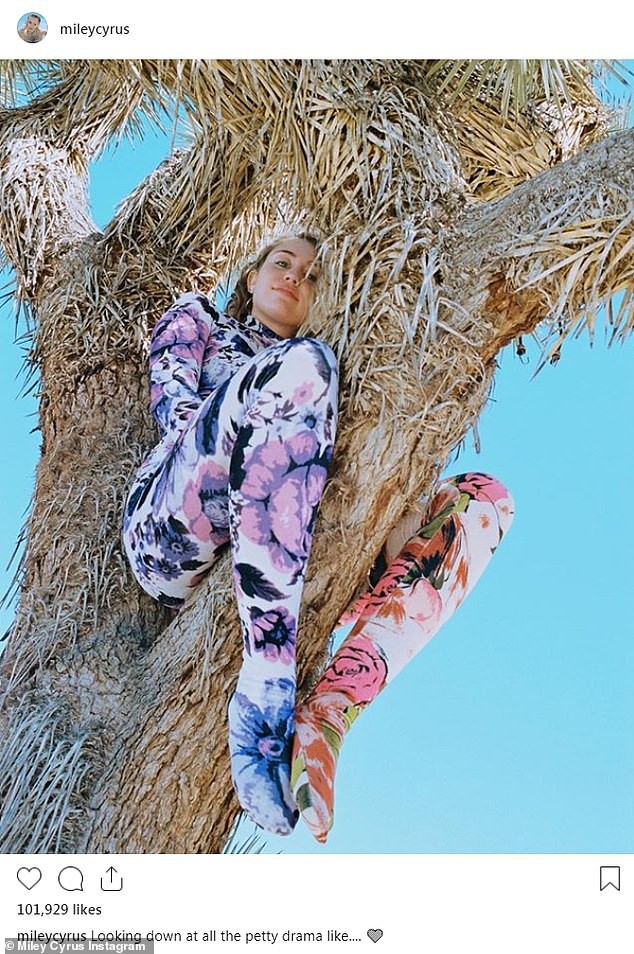 Bức ảnh tưởng không có gì mà gây phẫn nộ của Miley Cyrus: Chính chủ nhận gạch vì trèo lên cây quý để sống ảo - Ảnh 2.
