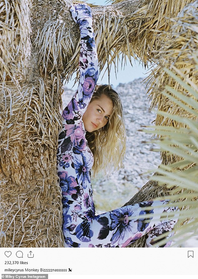Bức ảnh tưởng không có gì mà gây phẫn nộ của Miley Cyrus: Chính chủ nhận gạch vì trèo lên cây quý để sống ảo - Ảnh 1.