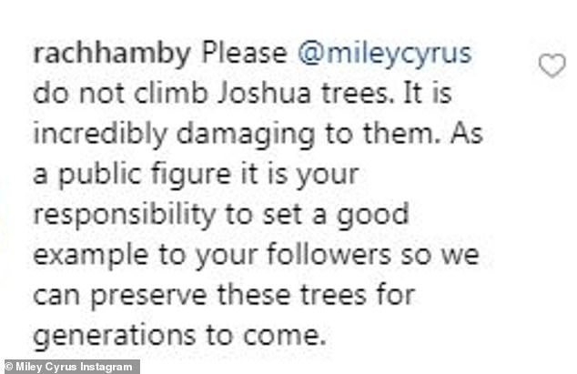 Bức ảnh tưởng không có gì mà gây phẫn nộ của Miley Cyrus: Chính chủ nhận gạch vì trèo lên cây quý để sống ảo - Ảnh 4.