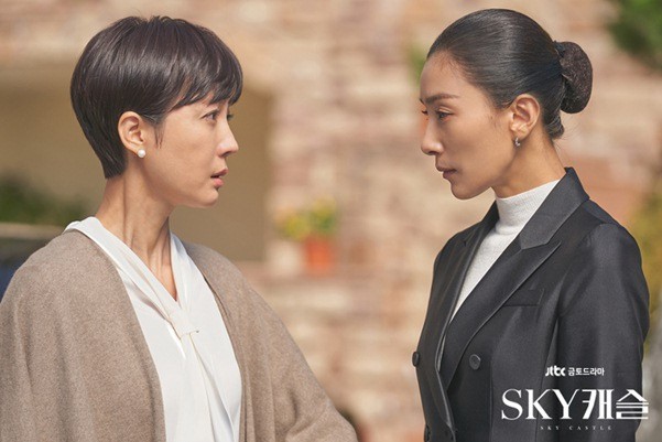 Danh sách tranh giải Baeksang 2019: SKY Castle bao sân, hạng mục nào cũng có mặt - Ảnh 3.