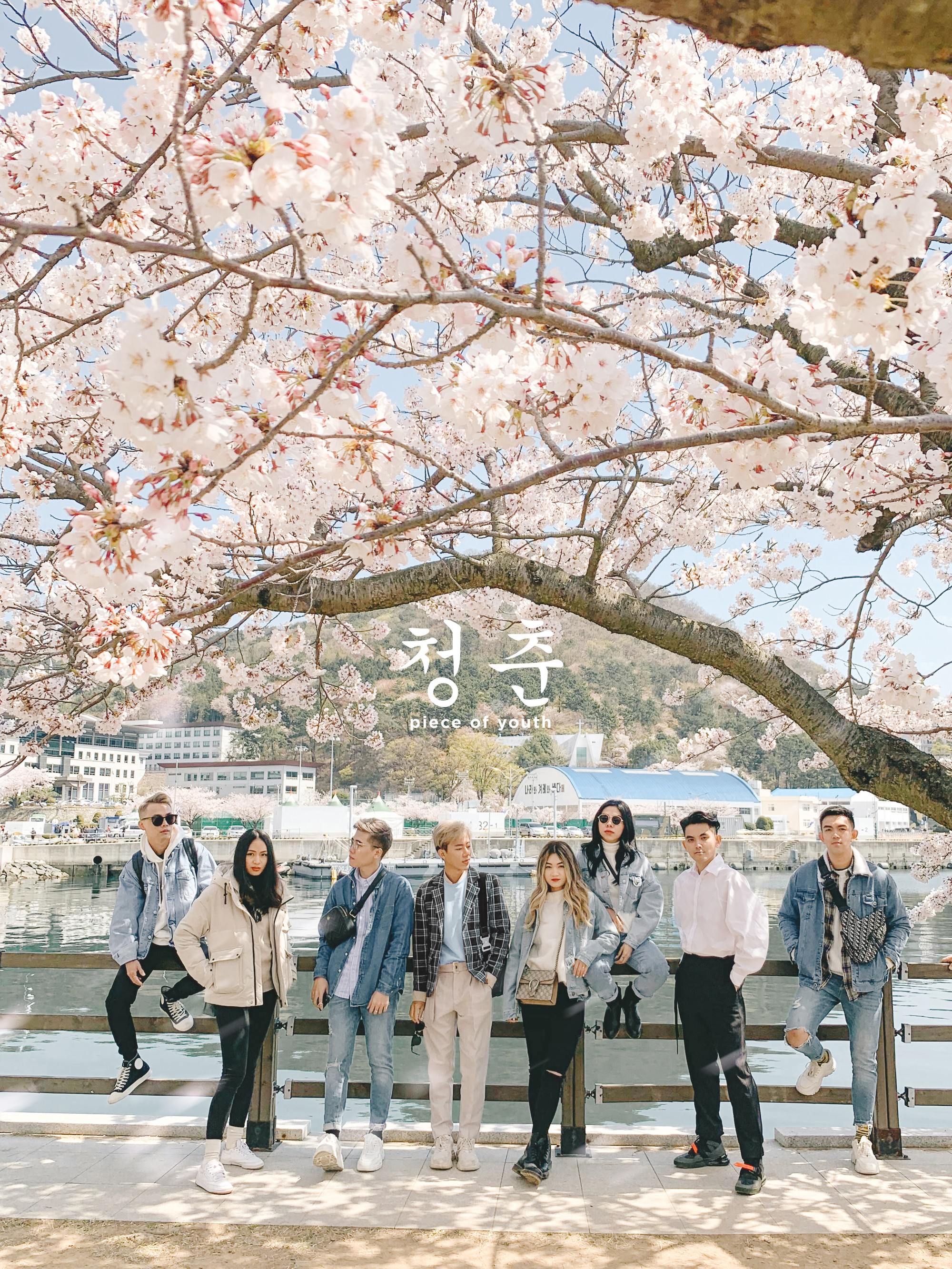 Bộ ảnh du lịch Hàn Quốc của nhóm bạn thân đẹp xuất sắc
