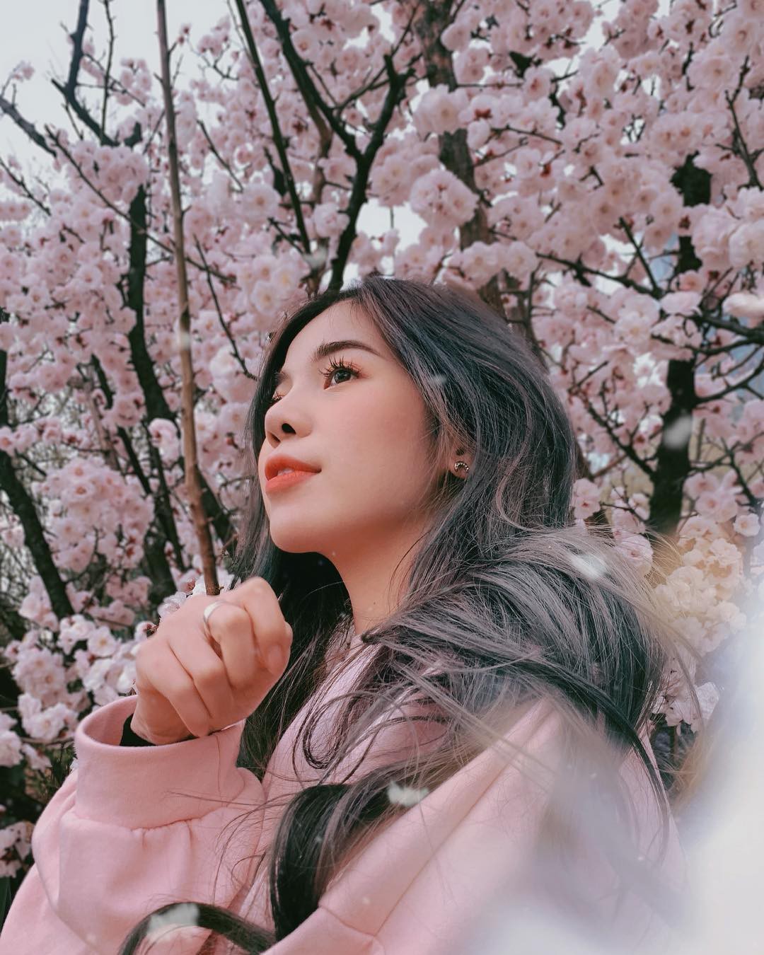 Không Nhật Bản thì Hàn Quốc, cảm giác như cả thế giới đều đi ngắm hoa anh đào hết rồi! - Ảnh 5. Không Nhật Bản thì Hàn Quốc, cảm giác như cả thế giới đều đi ngắm hoa anh đào hết rồi! - Ảnh 5.