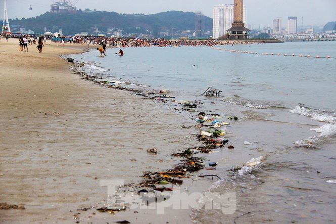 Trẻ ngụp lặn bơi trong rác biển ở Hạ Long