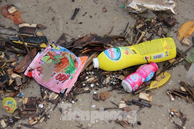 Trẻ ngụp lặn bơi trong rác biển ở Hạ Long