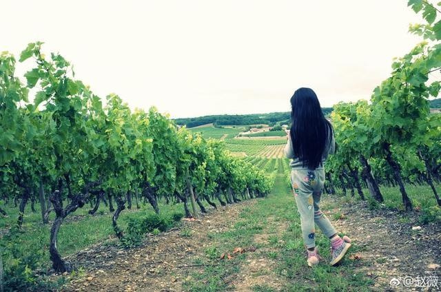 Những nhóc tì nhà sao đắt giá nhất Cbiz: Học trường quốc tế đắt đỏ, thậm chí có của hồi môn ngàn tỷ khi mới 1 tuổi - Ảnh 8. Những nhóc tì nhà sao đắt giá nhất Cbiz: Học trường quốc tế đắt đỏ, thậm chí có của hồi môn ngàn tỷ khi mới 1 tuổi - Ảnh 8.