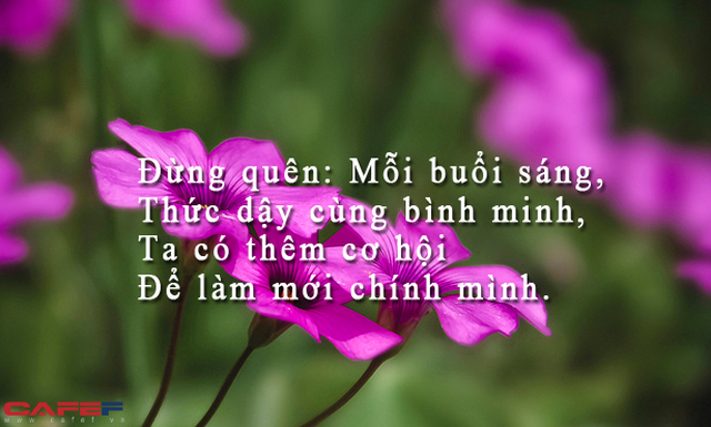 Nằm l&igrave; th&ecirc;m 1 tiếng mỗi s&aacute;ng, bạn đ&atilde; l&atilde;ng ph&iacute; th&ecirc;m 15 ng&agrave;y/năm: Quyết t&acirc;m tập thể dục h&agrave;ng n&agrave;y, t&ocirc;i hiểu rằng việc thay đổi cuộc sống thuộc tầm kiểm so&aacute;t của ch&iacute;nh m&igrave;nh - Ảnh 1.