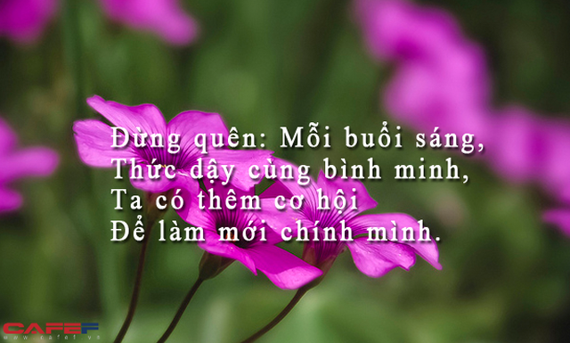 Nằm lì thêm 1 tiếng mỗi sáng, bạn đã lãng phí thêm 15 ngày/năm: Quyết tâm tập thể dục hàng này, tôi hiểu rằng việc thay đổi cuộc sống thuộc tầm kiểm soát của chính mình - Ảnh 1.