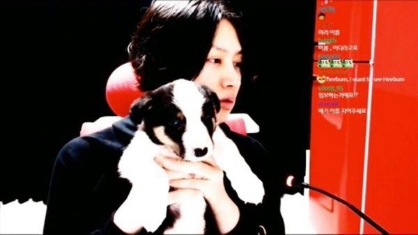 Câu chuyện bỗng gây bão MXH: Heechul (Suju) suy sụp khi chó cưng bị liệt cả thân dưới vì chủ mới vô trách nhiệm - Ảnh 1.