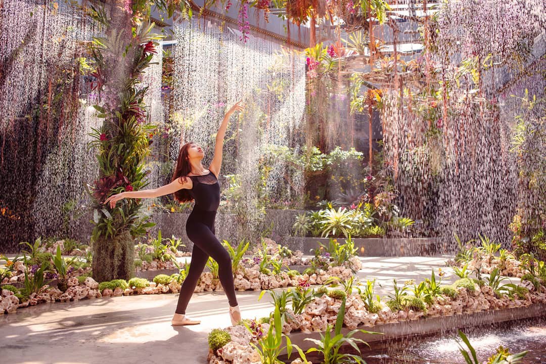 Sau Jewel Changi, Singapore lại có thêm “kỳ quan” vườn hoa treo khổng lồ khiến dân tình phải ngước lên “mỏi cả cổ” để ngắm nhìn - Ảnh 11. Sau Jewel Changi, Singapore lại có thêm “kỳ quan” vườn hoa treo khổng lồ khiến dân tình phải ngước lên “mỏi cả cổ” để ngắm nhìn - Ảnh 11.