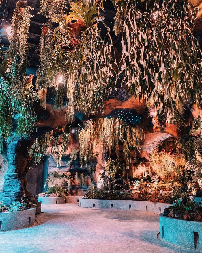 Sau Jewel Changi, Singapore láº¡i cÃ³ thÃªm âká»³ quanâ vÆ°á»n hoa treo khá»ng lá» khiáº¿n dÃ¢n tÃ¬nh pháº£i ngÆ°á»c lÃªn âmá»i cáº£ cá»â Äá» ngáº¯m nhÃ¬n - áº¢nh 13.