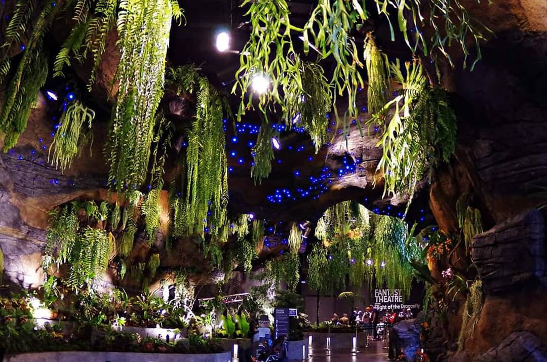 Sau Jewel Changi, Singapore lại có thêm “kỳ quan” vườn hoa treo khổng lồ khiến dân tình phải ngước lên “mỏi cả cổ” để ngắm nhìn - Ảnh 14. Sau Jewel Changi, Singapore lại có thêm “kỳ quan” vườn hoa treo khổng lồ khiến dân tình phải ngước lên “mỏi cả cổ” để ngắm nhìn - Ảnh 14.