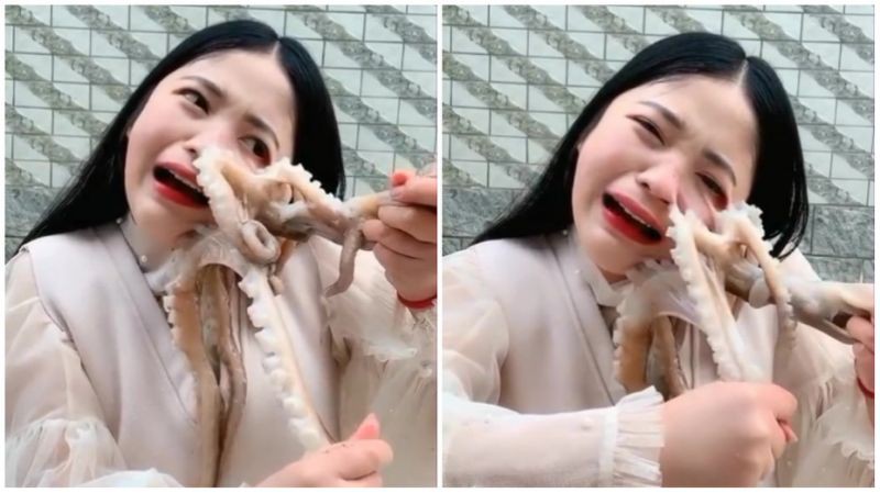 Hot girl livestream cảnh ăn bạch tuộc sống, bị con vật tấn công đến chảy máu nhưng dân mạng lại còn mắng cho vì lý do này - Ảnh 3. Hot girl livestream cảnh ăn bạch tuộc sống, bị con vật tấn công đến chảy máu nhưng dân mạng lại còn mắng cho vì lý do này - Ảnh 3.