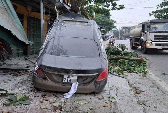 Ô tô Mercedes mất lái trèo lên cây bàng, người dân giải cứu tài xế đưa đi cấp cứu - Ảnh 2.