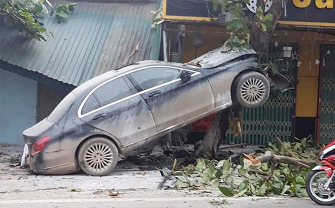 Ô tô Mercedes mất lái trèo lên cây bàng, người dân giải cứu tài xế đưa đi cấp cứu - Ảnh 1.