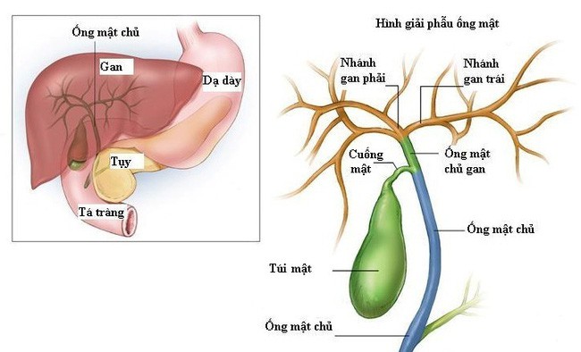 Thấy cơ thể có 3 bộ phận này chuyển sang màu vàng thì coi chừng bạn đang bị ung thư - Ảnh 3.