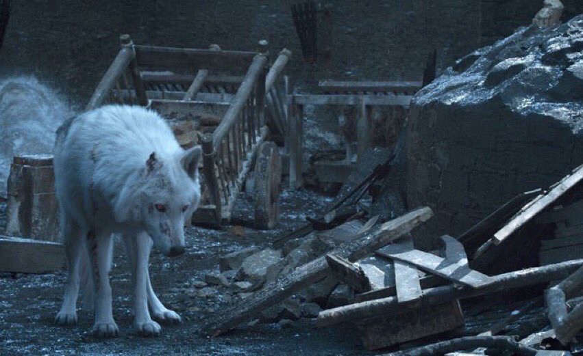 Không phải rồng hay người chết, đây mới là nhân vật đáng thương đến ám ảnh ở GAME OF THRONES - Ảnh 3. Không phải rồng hay người chết, đây mới là nhân vật đáng thương đến ám ảnh ở GAME OF THRONES - Ảnh 3.