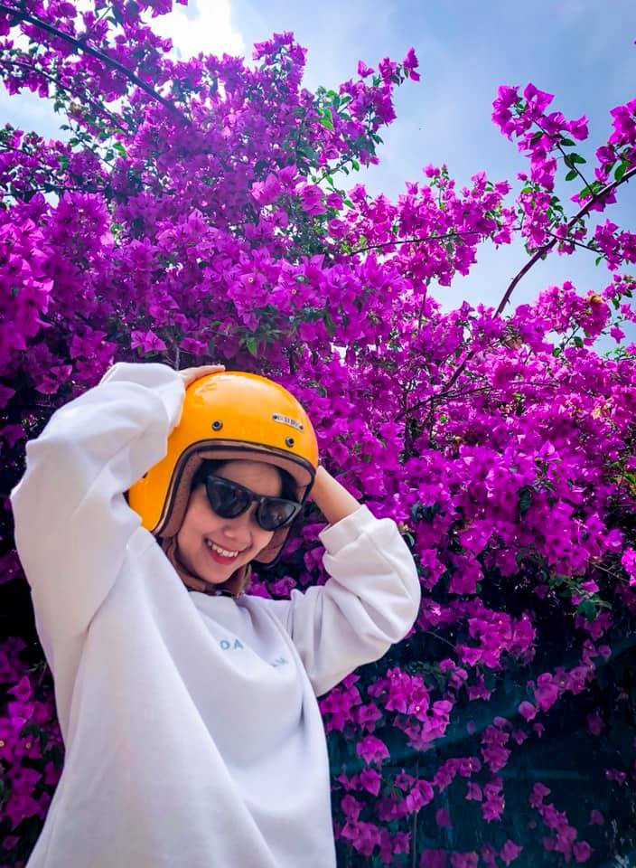 Đẹp thổn thức giàn hoa giấy sống ảo “cực phẩm” đang được giới trẻ nhiệt tình săn đón tại Đà Lạt - Ảnh 14. Đẹp thổn thức giàn hoa giấy sống ảo “cực phẩm” đang được giới trẻ nhiệt tình săn đón tại Đà Lạt - Ảnh 14.