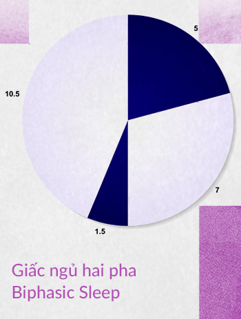 Đọc cuối tuần: Con người có thể ngủ 2 tiếng mỗi ngày để sống nhiều hơn 10 năm cuộc đời hay không? - Ảnh 5.