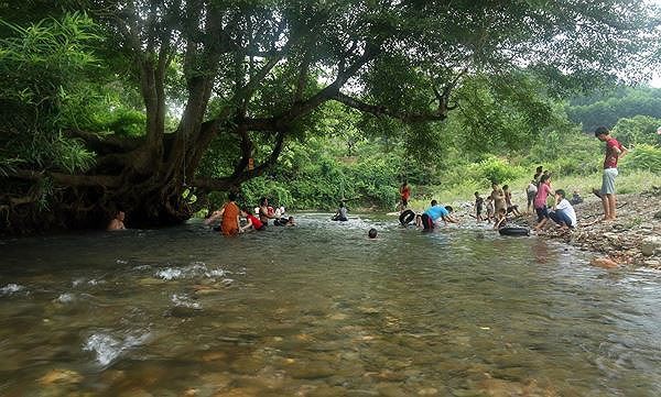 Tắm khe suối ngày lễ, người đàn ông bị đỉa chui vào mũi - Ảnh 1.