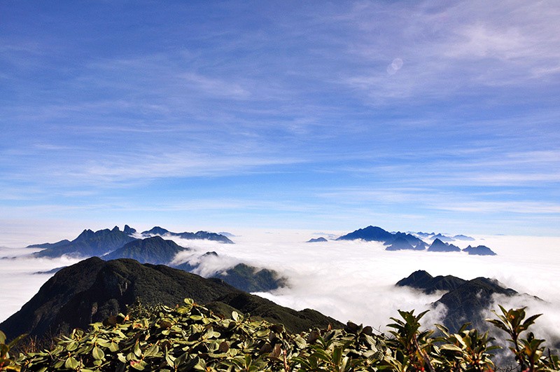Đỉnh Putaleng vừa ra thông báo cấm du khách trekking khi chưa xin giấy phép - Ảnh 2. Đỉnh Putaleng vừa ra thông báo cấm du khách trekking khi chưa xin giấy phép - Ảnh 2.
