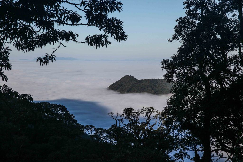 Đỉnh Putaleng vừa ra thông báo cấm du khách trekking khi chưa xin giấy phép - Ảnh 10. Đỉnh Putaleng vừa ra thông báo cấm du khách trekking khi chưa xin giấy phép - Ảnh 10.