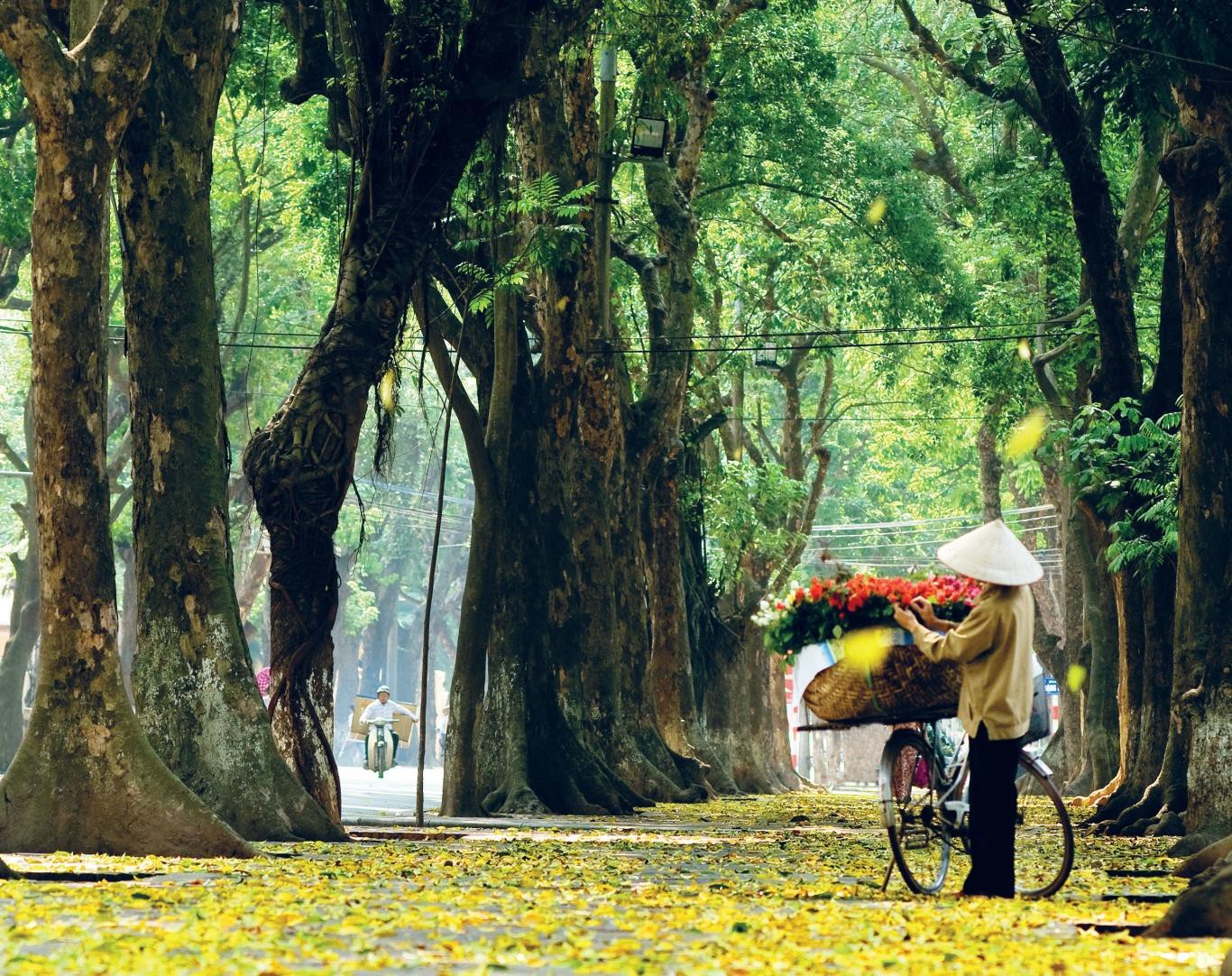 Hình ảnh Hà Nội sẽ được phủ sóng trên kênh truyền hình CNN của Mỹ trong 5 năm sắp tới - Ảnh 4. Hình ảnh Hà Nội sẽ được phủ sóng trên kênh truyền hình CNN của Mỹ trong 5 năm sắp tới - Ảnh 4.