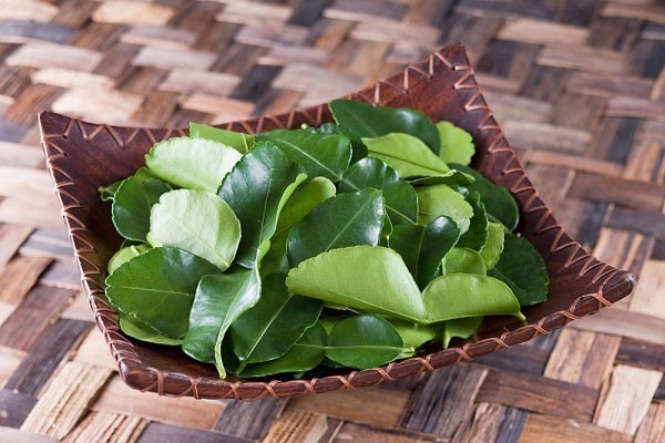 Sá»c: LÃ¡ chanh á» Viá»t Nam chá» Äá» Än vá»i thá»t gÃ  luá»c, sang ChÃ¢u Ãu bÃ¡n 6,3 triá»u Äá»ng/kg - áº¢nh 2.