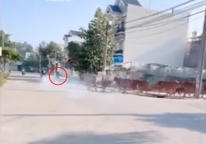 Clip: Qu&aacute;i xế nẹt p&ocirc; ầm ĩ, liền bị cả đ&agrave;n b&ograve; truy đuổi - Ảnh 2.