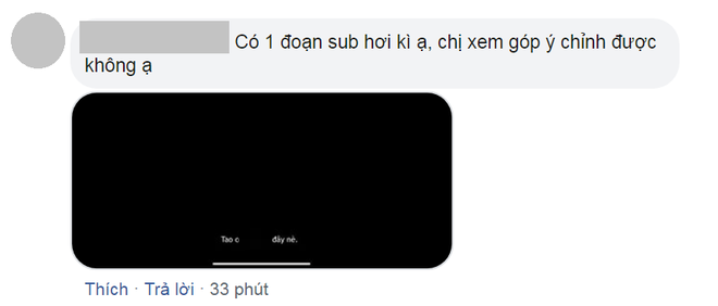 Hai Phượng lên kệ Netflix nhưng gây chú ý lại là phụ đề thô tục và thiếu mất thứ này - Ảnh 3.