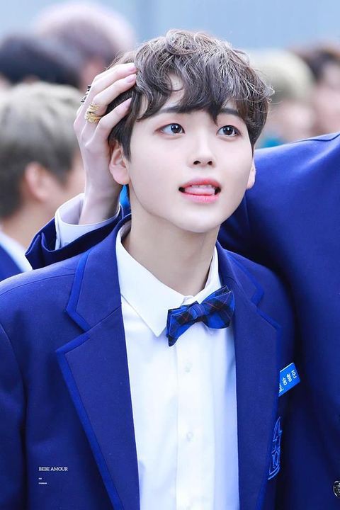 Produce X 101 cùng dàn thí sinh cực phẩm thi nhau càn quét bảng xếp hạng show thực tế tại Hàn Quốc - Ảnh 6.