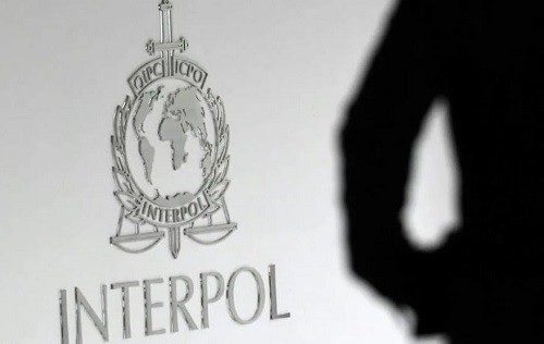 Interpol triệt phá mạng lưới ấu dâm trực tuyến, giải cứu 50 trẻ em - Ảnh 1.