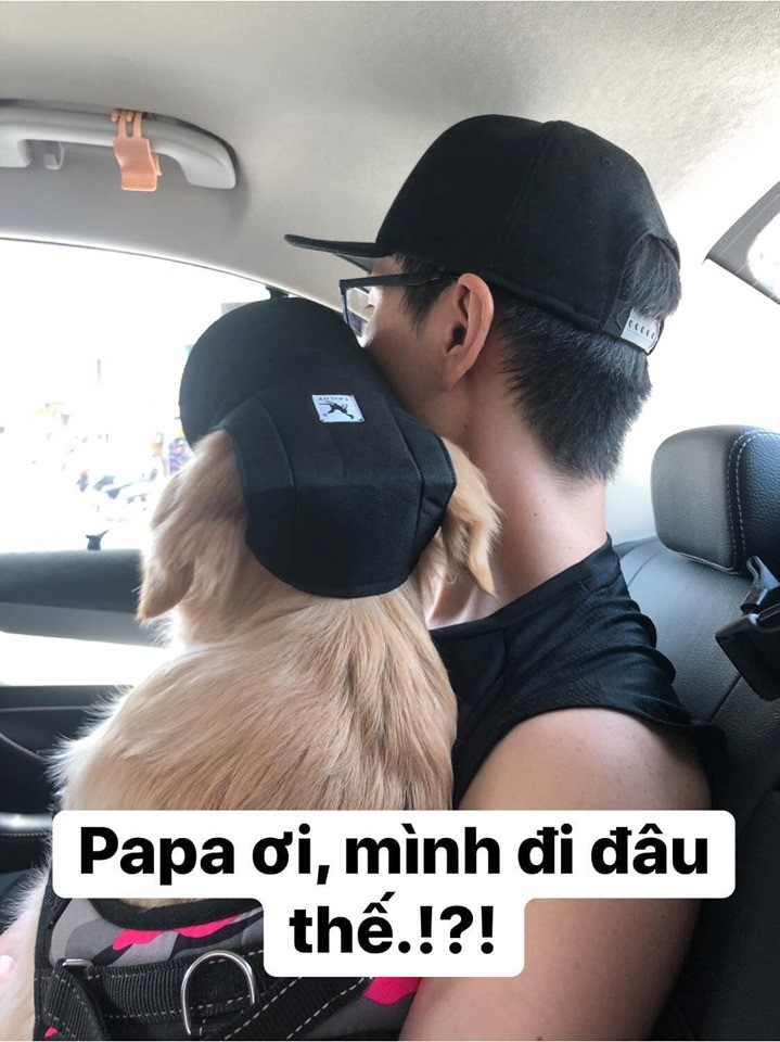Chú chó đốn tim cư dân mạng bởi loạt biểu cảm nói hộ nỗi lòng của những người... say xe khi đi du lịch - Ảnh 1. Chú chó đốn tim cư dân mạng bởi loạt biểu cảm nói hộ nỗi lòng của những người... say xe khi đi du lịch - Ảnh 1.