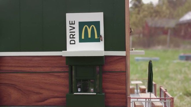 McDonalds khai trương McHive, nhà hàng tí hon dành riêng cho ong - Ảnh 15.