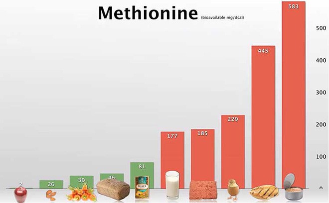 Liệu pháp trao đổi chất: Chúng ta có thể ăn kiêng để bỏ đói tế bào ung thư được hay không? - Ảnh 3.