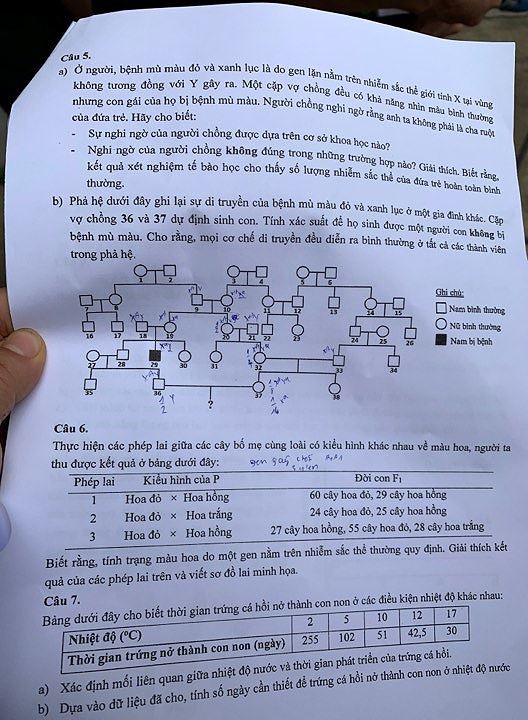 Đề Toán, Sinh chuyên vào lớp 10 trường Khoa học tự nhiên: Khó đạt điểm 9 - Ảnh 4.