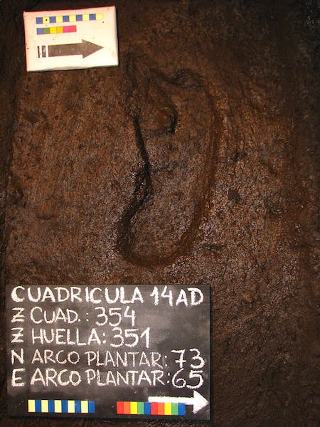 Các nhà khoa học tìm thấy dấu chân người cổ nhất tại châu Mỹ - Ảnh 1.