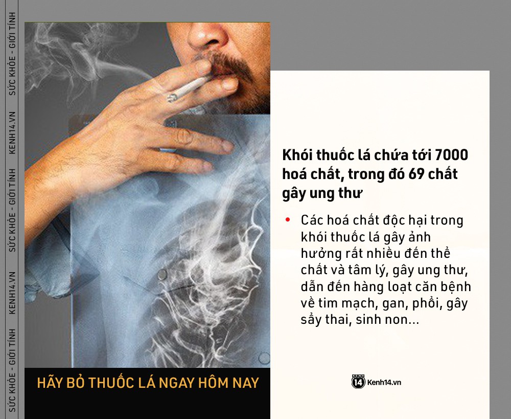 NgÃ y Tháº¿ giá»i KhÃ´ng Thuá»c lÃ¡: nhá»¯ng con sá» kinh hoÃ ng cho tháº¥y tÃ¡c háº¡i cá»§a thuá»c lÃ¡ ngÃ y cÃ ng nghiÃªm trá»ng - áº¢nh 3.