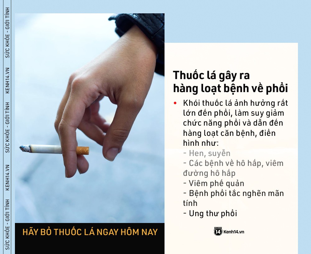 duytien.gov.vn | 31/5 Ngày Thế giới Không Thuốc lá: những con số ...