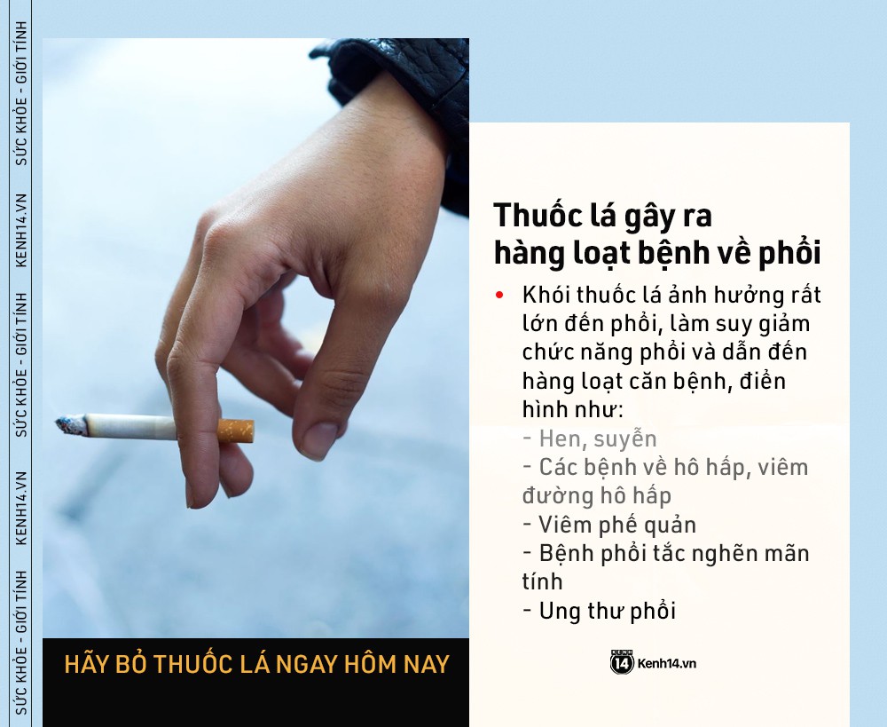 NgÃ y Tháº¿ giá»i KhÃ´ng Thuá»c lÃ¡: nhá»¯ng con sá» kinh hoÃ ng cho tháº¥y tÃ¡c háº¡i cá»§a thuá»c lÃ¡ ngÃ y cÃ ng nghiÃªm trá»ng - áº¢nh 4.