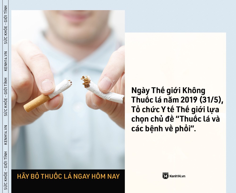 NgÃ y Tháº¿ giá»i KhÃ´ng Thuá»c lÃ¡: nhá»¯ng con sá» kinh hoÃ ng cho tháº¥y tÃ¡c háº¡i cá»§a thuá»c lÃ¡ ngÃ y cÃ ng nghiÃªm trá»ng - áº¢nh 5.