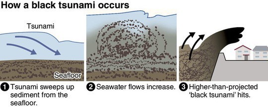 Người Nhật lo sợ “sóng thần đen” sắp ập tới - Ảnh 2.