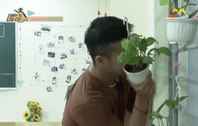 Sau 4 tập Running Man Việt, đ&atilde; đến l&uacute;c t&igrave;m ra th&agrave;nh vi&ecirc;n được y&ecirc;u th&iacute;ch nhất! - Ảnh 8.