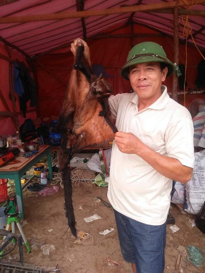 Truy t&igrave;m người đ&agrave;n &ocirc;ng khoe ảnh giết thịt chồn bay qu&yacute; hiếm tr&ecirc;n facebook - Ảnh 2.