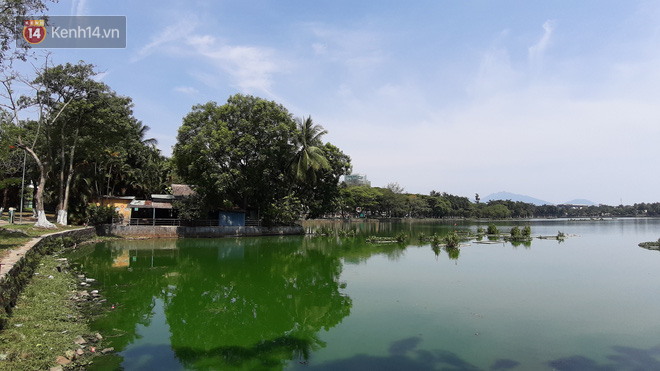 Nước đen ng&ograve;m, h&ocirc;i thối ồ ạt bức tử c&ocirc;ng vi&ecirc;n lớn nhất Đ&agrave; Nẵng khiến nhiều người bức x&uacute;c - Ảnh 6.