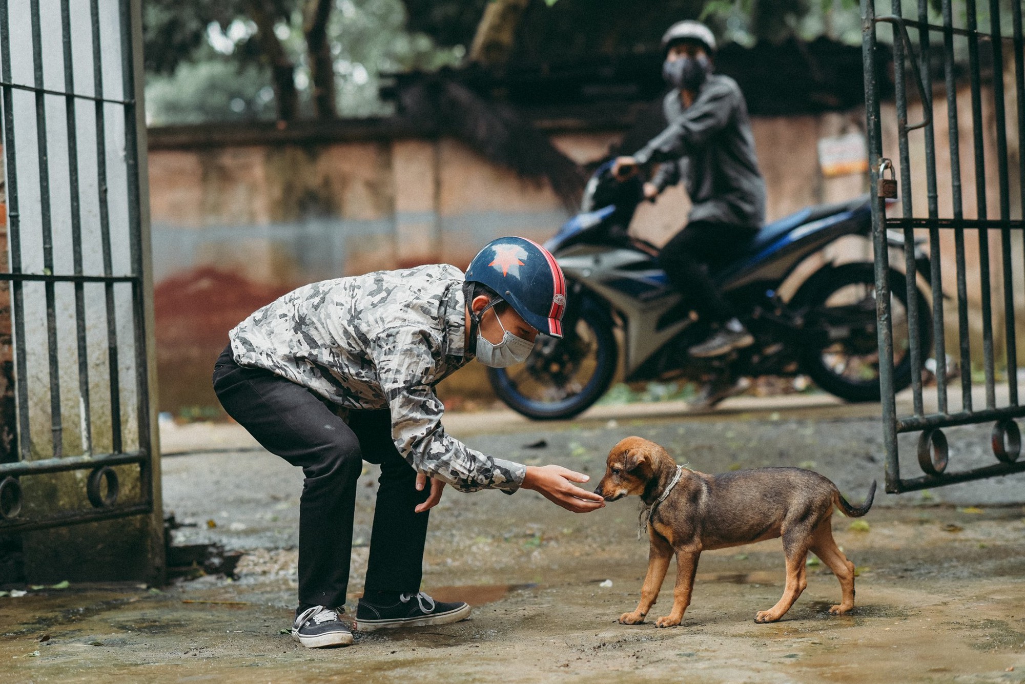 Nhóm bạn trẻ thực hiện bộ ảnh lên án nạn trộm chó khiến dân tình xôn xao - Ảnh 4. Nhóm bạn trẻ thực hiện bộ ảnh lên án nạn trộm chó khiến dân tình xôn xao - Ảnh 4.