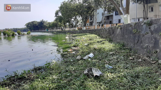 Nước đen ng&ograve;m, h&ocirc;i thối ồ ạt bức tử c&ocirc;ng vi&ecirc;n lớn nhất Đ&agrave; Nẵng khiến nhiều người bức x&uacute;c - Ảnh 8.