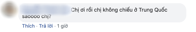 Ngô Thanh Vân xác nhận Hai Phượng chính thức lên kệ Netflix, netizen hỏi: Ủa chị quên phát hành ở Trung Quốc rồi sao? - Ảnh 7.