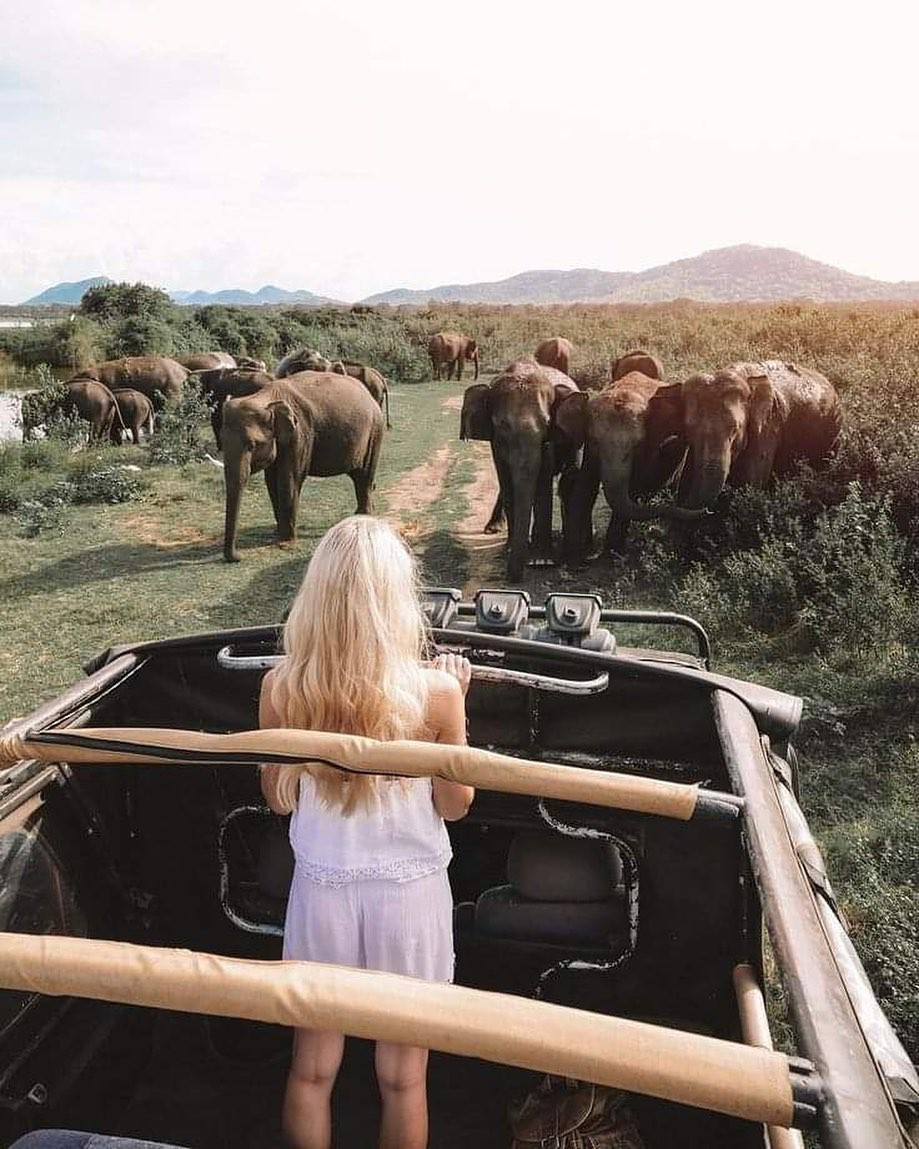 Cảnh báo: Không nên du lịch đến Sri Lanka ở thời điểm hiện tại vì vấn đề an ninh bất ổn - Ảnh 2. Cảnh báo: Không nên du lịch đến Sri Lanka ở thời điểm hiện tại vì vấn đề an ninh bất ổn - Ảnh 2.