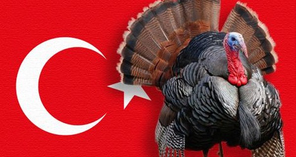 Con gà gây lú nhất quả đất: Người Anh gọi là Thổ Nhĩ Kỳ, nhưng người Thổ Nhĩ Kỳ lại gọi tên Ấn Độ - Ảnh 2.