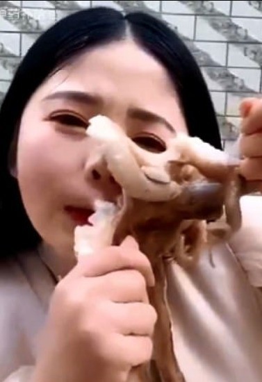 Livestream ăn bạch tuộc tươi sống, vlogger Trung Quốc bị sinh vật này tấn công rách cả da mặt - Ảnh 2.
